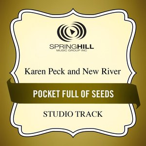 Pocket Full Of Seeds (Studio Track)