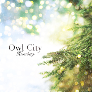 Owl City - Humbug - Zortam Music