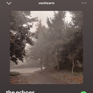 vasthearts 的头像