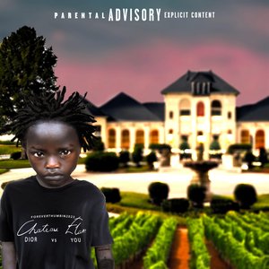 Chateau Elan