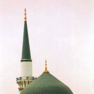 Mustafa Ismail 的头像