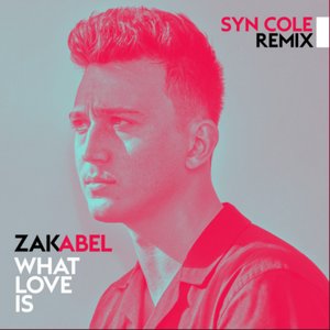 What Love Is (Syn Cole Remix)