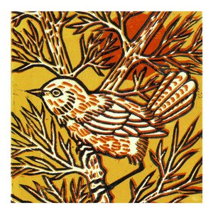 Pajarito