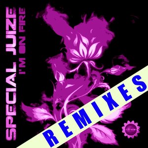 I'm On Fire (Remixes)