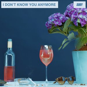 I Don't Know You Anymore (demo)