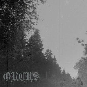 Orcus 的头像