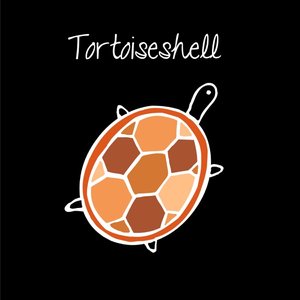 Tortoiseshell