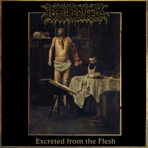 Abhorrence Veil / Excreted From the Flesh