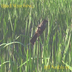 Bird Watching