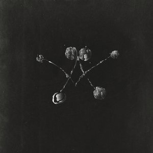 Nowhere Now (Bonus Tracks Version)