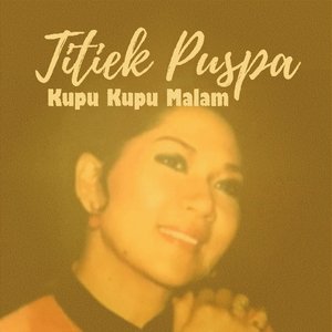 Kupu Kupu Malam