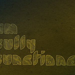 Fully Functional 的头像
