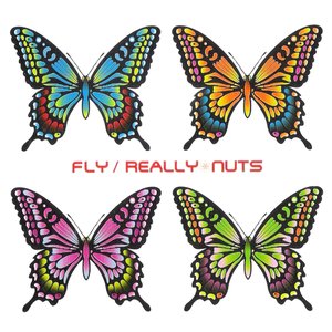Fly