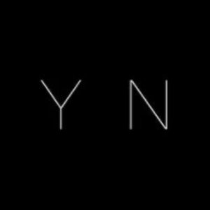 wynn 的头像