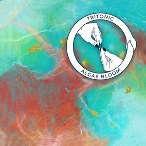 Algae Bloom