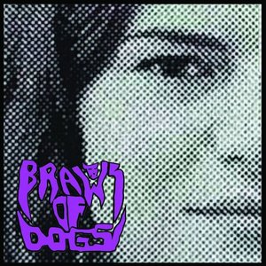 Brawl of Dogs