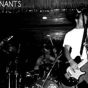 Avatar for The Ruminants