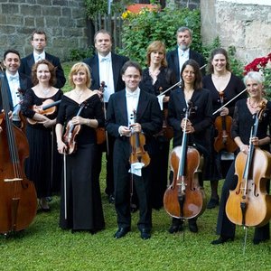 Südwestdeutsches Kammerorchester 的头像