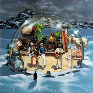 Beach Boys - The Beach Boy - Zortam Music