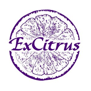 ExCitrus 的头像