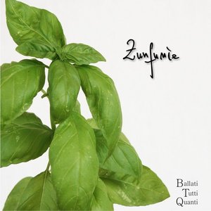 Zunfunìe