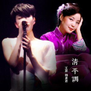 王菲 & 鄧麗君 的头像