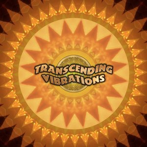 Transcending Vibrations 的头像