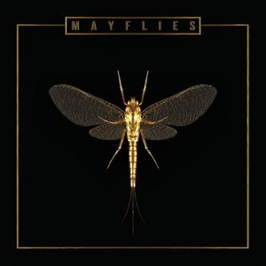 Mayflies