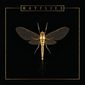 Mayflies