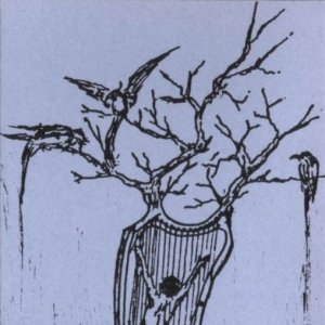 Trance Flexure