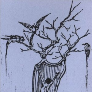 Trance Flexure cover