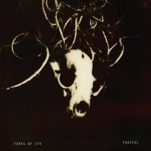 Foxfeel