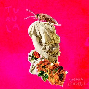 Turula