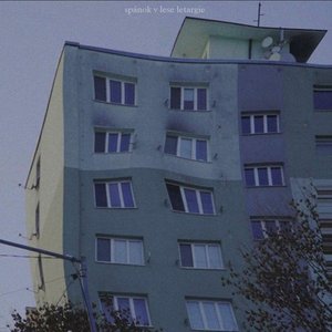 “spánok v lese letargie”的封面