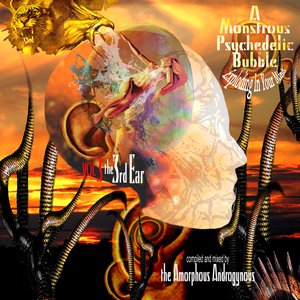 'The Amorphous Androgynous-A Monstrous Psychedelic Bubble Vol. 3 The 3rd Ear' için resim