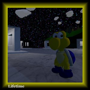 Lifetime