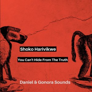 Shoko Harivikwe