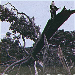 Felled [Explicit]