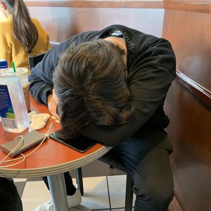 Shiro 的头像