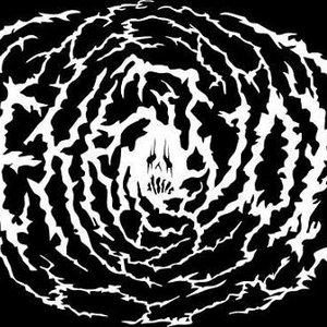 Nekrovoid 的头像