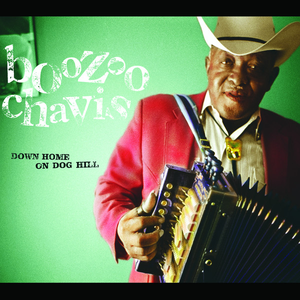 Boozoo Chavis - 100 Rock [disc 1] - Zortam Music