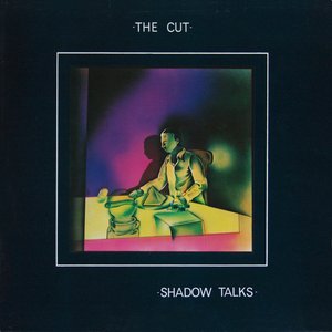 Shadow Talks (Extended PP-version)