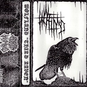 Third Raven
