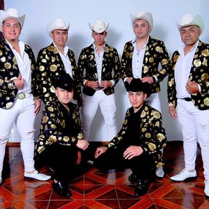 LOS BRAVOS DE CHILE 的头像