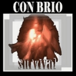“Con Brio”的封面