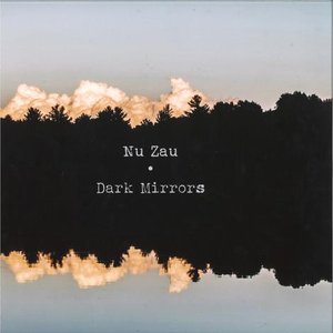 Dark mirrors