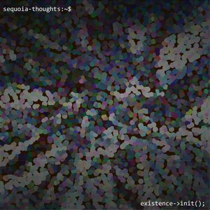 Sequoia Thoughts 的头像
