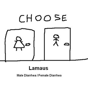 Male Diarrhea / Female Diarrhea