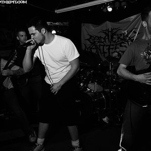 The Cadaveric Manifesto 的头像