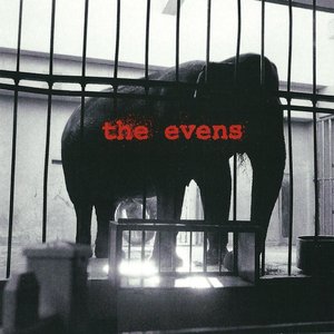 Image pour 'The Evens'